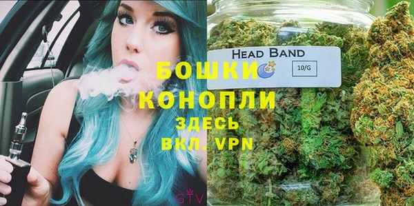 стаф Абинск