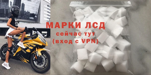 стаф Абинск