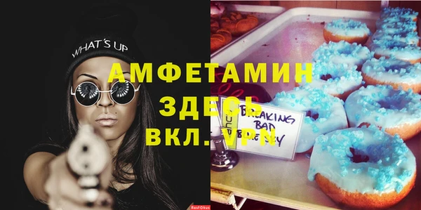 крисы Алексин