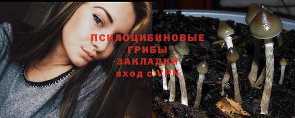 твердый Нязепетровск